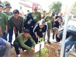 Melestarikan Kawasan Yang Hijau, IKA Fisip UHO Lakukan Penanaman Pohon 
