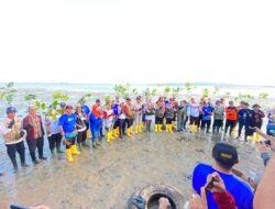Mitigasi Tsunami dan Abrasi, BNPB Tanam 7 Ribu Bibit Mangrove di Konawe