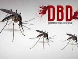 DBD di Sultra Tembus 3.287 Kasus, 16 Orang Dilaporkan Meninggal