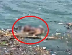 Mayat Pria Mengapung Gegerkan Warga Kolaka Utara