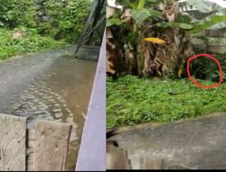Akibat Saluran Pembuangan Air Limbah dari Mall The Park Kendari, Beberapa Rumah Warga Terendam Banjir