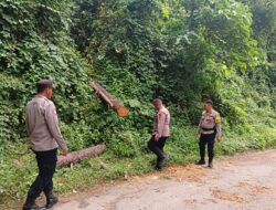 Pesta Pernikahan Berujung Maut, Seorang Pria di Konawe Tewas Tertimpa Pohon