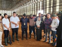 Pengadilan Negeri Unaaha Gelar Konstatering Lahan Sengketa PT VDNI