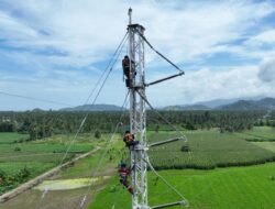 Jaga Keandalan Pasokan Listrik, PLN Bangun Tower Emergency pada Jalur Wolo Kolaka