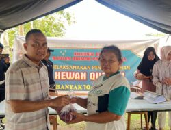 Idul Adha 1445 H, Brimob Polda Sultra Sembelih 106 Ekor Hewan Kurban