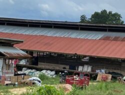 Peternakan Ayam di Bukit Lepo-lepo Indah Kendari Keluarkan Bau Tak Sedap, Warga Resah