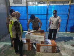 98 Kg Daging Celeng Ilegal dari Surabaya Berusaha Diselundupkan ke Sultra