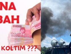 Ampera Kolaka Timur Pertanyakan Transparansi Dana Hibah Yang Dikelola KNPI