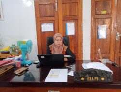 Dinkes Kendari Catat 5 Jenis Penyakit Paling Banyak Diidap Masyarakat, Ini Daftarnya
