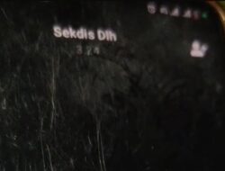 Viral Sebuah Video Oknum Sekdis DLH Bombana Diduga Terilibat Politik Praktis