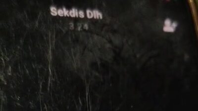 Viral Sebuah Video Oknum Sekdis DLH Bombana Diduga Terilibat Politik Praktis