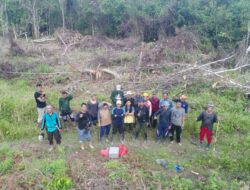 Puluhan Hektar HKM di Baito Diduga Diperjualbelikan, Ada Keterlibatan Oknum Kehutanan KPH Gula Raya