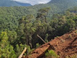 Warga Bombana Kecam Aksi Jual Beli Lahan Secara Ilegal ke Perusahaan Tambang PT Tri Daya Jaya