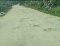 Telan Anggaran 4,8 Milar, Pengerjaan Jalan Alangga-Tinanggea Diduga Mangkrak