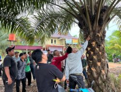 SPKS Gelar Pelatihan Budidaya Sawit Kepada Petani Sawit Swadaya di Konut
