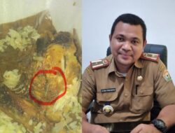 Disperindag Sultra Bakal Tindak Lanjuti Ayam Berbelatung di Warung Makan Bebek Sakti