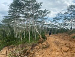 Buntut Penyerobotan Lahan Warga Konsel, DPRD Sultra Bakal Panggil PT Merbau