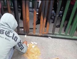 Bawa Tikus Putih, Pendemo Desak Kajati Sultra Ungkap Dugaan Korupsi di Sektor Pertambangan
