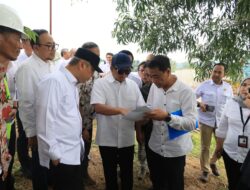 Pastikan Pengadaan Tanah Sesuai Prosedur, Menteri Nusron Tinjau Langsung Akses KCIC Karawang