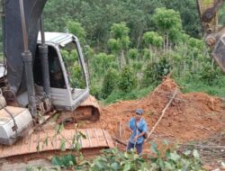 PT Merbau Kembali Serobot Kebun dan Rusak Tanaman Warga Rakawuta Konsel