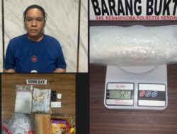 Wanita Asal Banjarmasin Ditangkap Polisi, Hendak Selundupkan Sabu 525 Kg di Kendari