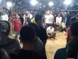 Praktik Perjudian Sabung Ayam di Kendari Diduga Tak Tersentuh APH