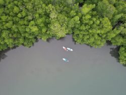 Pembangunan Pelabuhan Ore Nikel di Soropia Dinilai Mengancam Ekosistem Laut dan Mata Pencarian Masyarakat