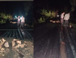 Polres Konsel Gerak Cepat Bangun Jembatan Darurat Usai Jalan Lintas Dua Desa Amblas