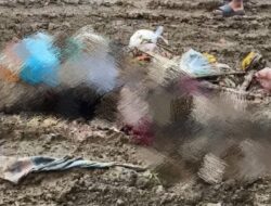 Penjual Sayur Meninggal Diseruduk Truk PT VDNI di Konawe