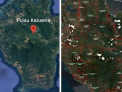 Rusak Lingkungan, Presiden RI dan Menteri ESDM RI Didesak Cabut IUP PT TMS di Pulau Kabaena