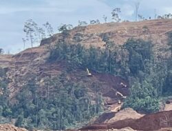 Garap Kawasan Hutan Tanpa PPKH, APH Diminta Tindak PT Primastian Metal Pratama
