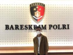 P3D Ungkap Penambangan Ilegal di Eks IUP PT Mandala Jayakarta II Konut