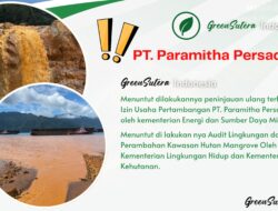 PT Paramitha Persada Tama Diduga Jadi Aktor Utama Pencemaran Lingkungan di Pulau Labengki Konut