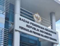 BPK Sultra Ungkap Sisi Gelap Tata Kelola di Perumda Aneka Usaha Kolaka