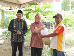Dukung Ketahanan Pangan, Wali Kota Kendari Panen Perdana Budidaya Ikan Sistem Bioflok