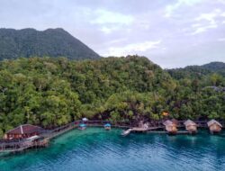 PT AKP dan IBM Tak Miliki Izin Lintas Kawasan Konservasi, Ancam Pulau Labengki?