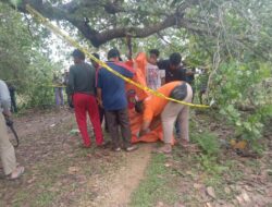 Pria di Muna Ditemukan Tewas Gantung Diri di Pohon Jambu Mete