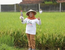 Kementerian ATR/BPN Dorong Partisipasi Masyarakat untuk Pasang Patok Batas Tanah Melalui GEMAPATAS
