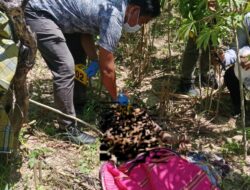 Pria di Kendari Ditemukan Meninggal Pisau Tertancap di Perut Kiri, Polisi : Ada Indikasi Bunuh Diri