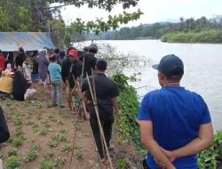 Jasad Korban Diterkam Buaya di Sungai Lasolo Konut Ditemukan