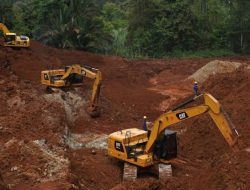 PT Mushar Utama Sultra Diduga Lakukan Pertambangan Ilegal : Garap Kawasan Hutan Tanpa IPPKH