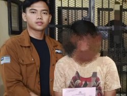 Baru Dilantik Jadi PPPK, Seorang Pria di Konawe Diamankan Polisi usai Aniaya Istri