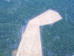 Hutan Mangrove Digusur Untuk Rumah Pribadi Andi Sumangerukka, DLHK Diminta Jangan Tebang Pilih Tegakkan Aturan