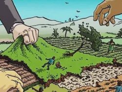 Tambang PT DMS Diduga Serobot Lahan Warga Konawe Utara, Kerugian Capai Rp7,5 Miliar