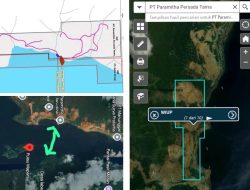 Garap HPT, KLHK, KKP, dan KESDM RI Diminta Cabut Izin PT Paramitha Persada Tama di Konut