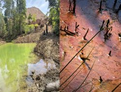Aktivitas PT Wijaya Inti Nusantara Cemari Sungai dan Lahan Sawah Warga Desa Mondoe Konsel