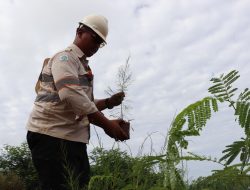 Meski Tanpa IPPKH, Kewajiban Reklamasi GKP di Wawonii Terus Berjalan