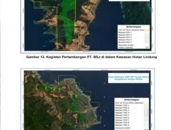 BPK Temukan Dugaan Pelanggaran Perusahaan Tambang PT Bumi Sentosa Jaya dan PT Tonia Mitra Sejahtera