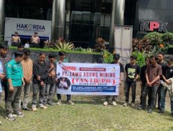 Komisaris PT LAM Lily Salim Dinilai Kebal Hukum, KPK Diminta Ambil Alih Kasus Korupsi Nikel Blok Mandiodo
