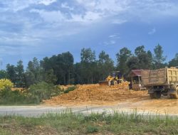 KPPL Soroti PT Artha Graha, Diduga Rusak Mangrove 7 Hektare di Jalan Inner Ring Road Kendari